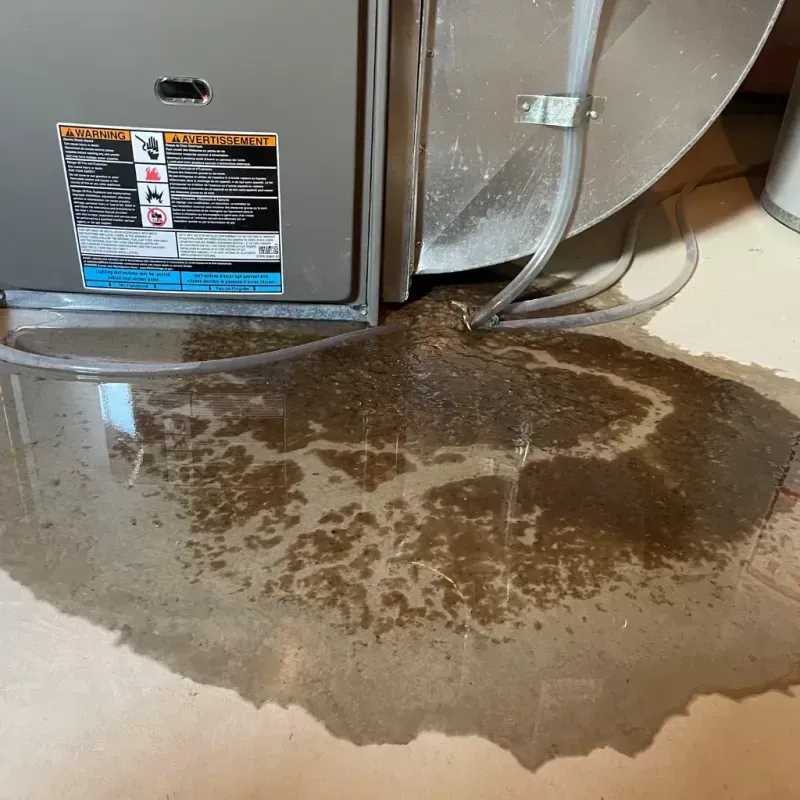 Appliance Leak Cleanup in Auburn Gresham, IL